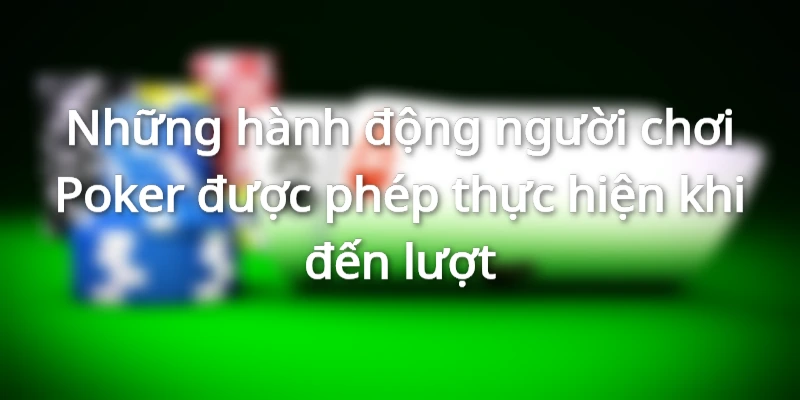 Các hành động hợp pháp mà người chơi có thể làm